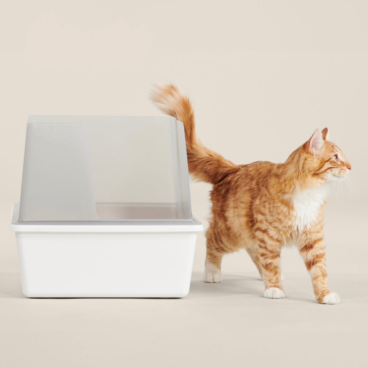 Covered Cat Litter Tray